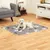 lionto tapis pour chien lavable et imperméable anti-fuite, lot de 2