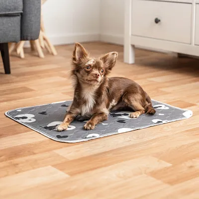 lionto tapis pour chien lavable et imperméable anti-fuite, lot de 2