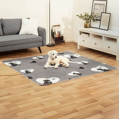 lionto waschbare, wasserdichte Hundematte, auslaufsicher, 2er-Set