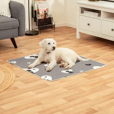 lionto tapis pour chien lavable et imperméable anti-fuite, lot de 2