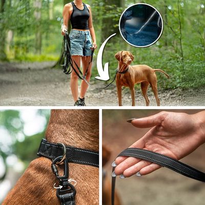 lionto Schleppleine gummiert, Handschlaufe, 360°-Karabiner, reflektierend