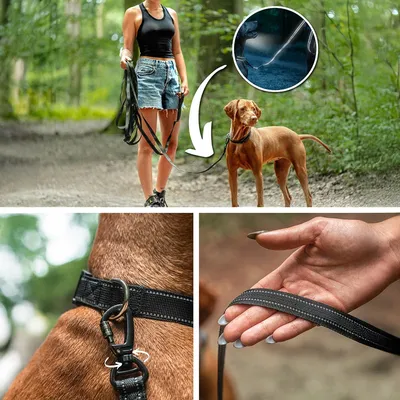 lionto Schleppleine gummiert, Handschlaufe, 360°-Karabiner, reflektierend