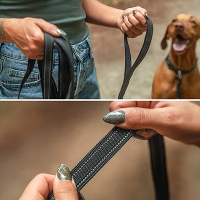 lionto Schleppleine gummiert, Handschlaufe, 360°-Karabiner, reflektierend