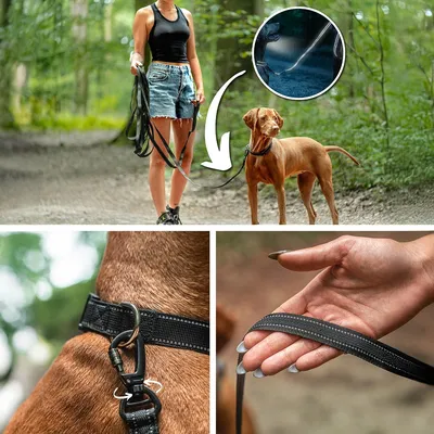 lionto longe pour chien gommée avec poignée, mousqueton 360° et réflecteurs
