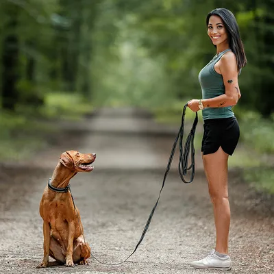 lionto longe pour chien gommée avec poignée, mousqueton 360° et réflecteurs