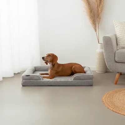 lionto coussin orthopédique pour chien avec rebord et housse lavable lionto coussin orthopédique pour chien avec rebord et housse lavable