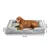 lionto coussin orthopédique pour chien avec rebord et housse lavable lionto coussin orthopédique pour chien avec rebord et housse lavable