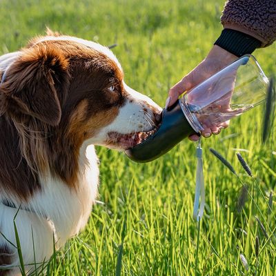 lionto tragbare, auslaufsichere Hundetrinkflasche aus ABS-Kunststoff