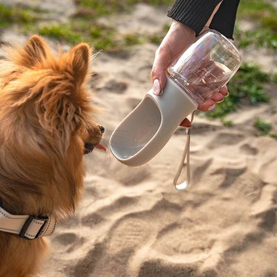 lionto tragbare, auslaufsichere Hundetrinkflasche aus ABS-Kunststoff