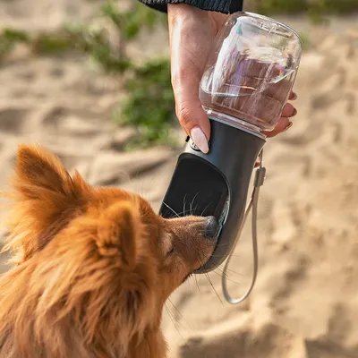 lionto tragbare, auslaufsichere Hundetrinkflasche aus ABS-Kunststoff