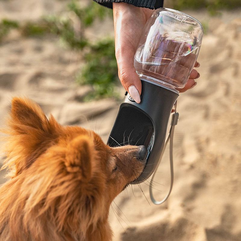 lionto bouteille d’eau portable pour chien anti-fuite en plastique ABS