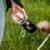 lionto bouteille d’eau portable pour chien anti-fuite en plastique ABS