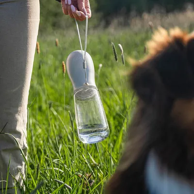 lionto tragbare, auslaufsichere Hundetrinkflasche aus ABS-Kunststoff
