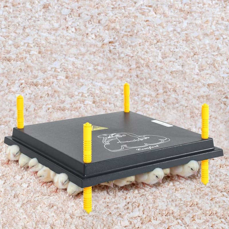 vidaXL plaque chauffante pour poussins