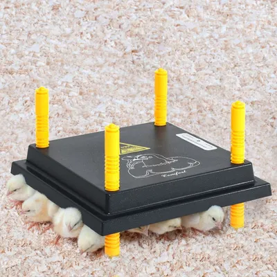 vidaXL plaque chauffante pour poussins Plastique