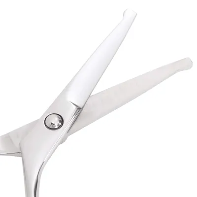 vidaXL ensemble de ciseaux de toilettage pour chiens Acier inoxydable