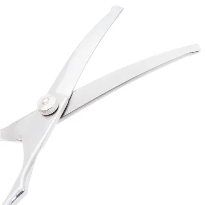 vidaXL ensemble de ciseaux de toilettage pour chiens Acier inoxydable