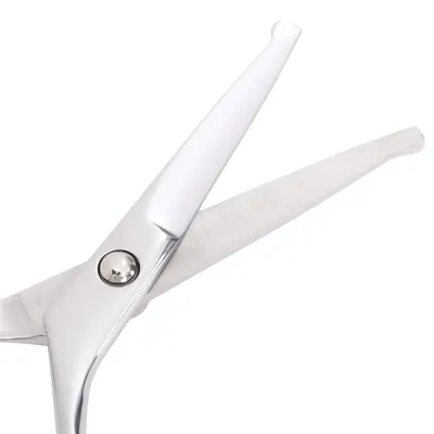 vidaXL ensemble de ciseaux de toilettage pour chiens Acier inoxydable