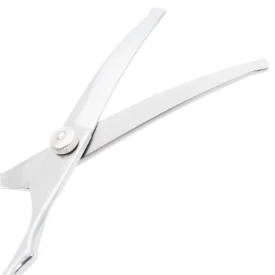 vidaXL ensemble de ciseaux de toilettage pour chiens Acier inoxydable