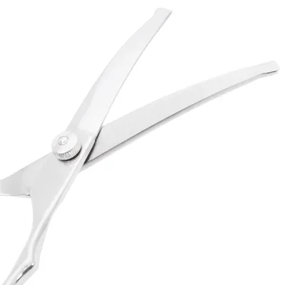 vidaXL ensemble de ciseaux de toilettage pour chiens Acier inoxydable