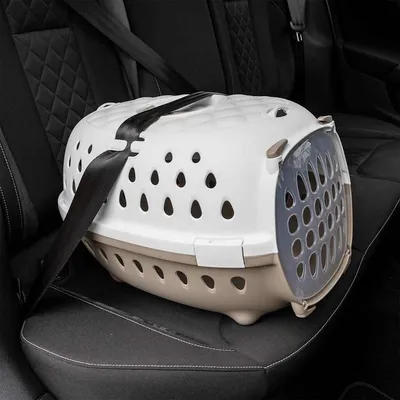 vidaXL cage de transport d’animaux de compagnie Polypropylène vidaXL cage de transport d’animaux de compagnie Polypropylène