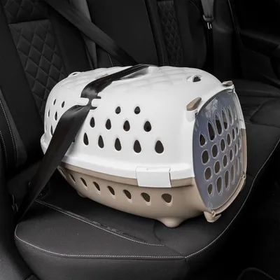 vidaXL cage de transport d’animaux de compagnie Polypropylène