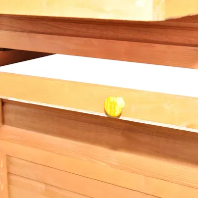 vidaXL poulailler Bois