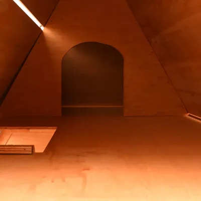 vidaXL clapier pour lapins Bois de pin