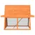 vidaXL clapier pour lapins Bois de pin