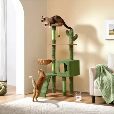 Yaheetech Arbre à Chat Cactus