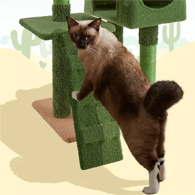 Yaheetech Arbre à Chat Cactus