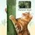 Yaheetech Arbre à Chat Cactus