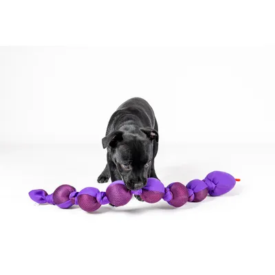 Jeux Serpent Snala Émoji Pourpre 85 cm pour chien
