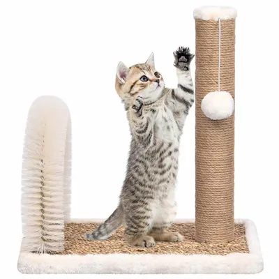 vidaXL arbre à chat Seagrass