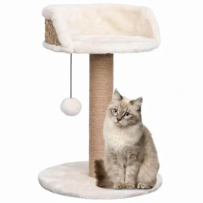 vidaXL arbre à chat Seagrass