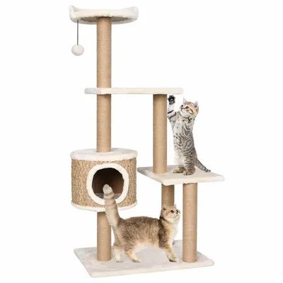 vidaXL arbre à chat Jonc de mer / Algue vidaXL arbre à chat Jonc de mer / Algue