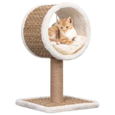 vidaXL arbre à chat Jonc de mer / Algue