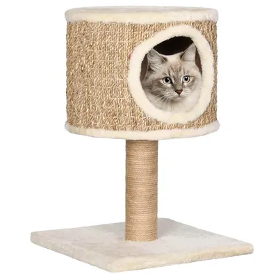 vidaXL arbre à chat Seagrass