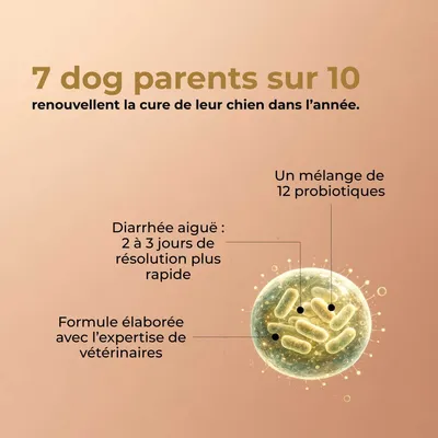 TRUFFE DÉLICE Probiotique chien