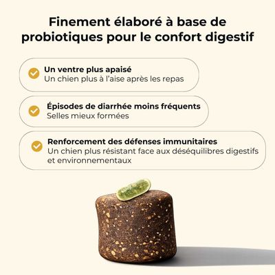 TRUFFE DÉLICE Probiotique chien