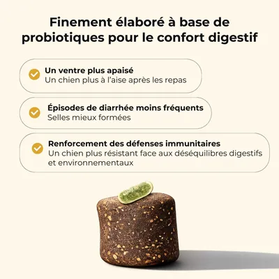 TRUFFE DÉLICE Probiotique chien