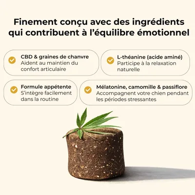 TRUFFE DÉLICE Friandises CBD chien TRUFFE DÉLICE Friandises CBD chien