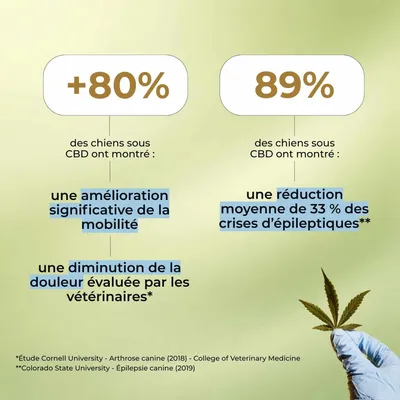 TRUFFE DÉLICE Friandises CBD chien TRUFFE DÉLICE Friandises CBD chien
