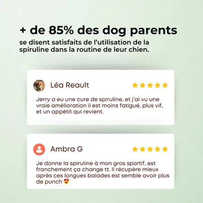 TRUFFE DÉLICE Spiruline chien