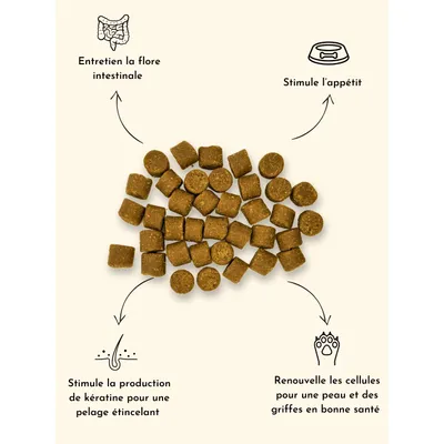 TRUFFE DÉLICE Levure de bière chien TRUFFE DÉLICE Levure de bière chien