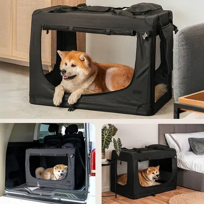 lionto transport chien pliable auto voyage tissu robuste noir