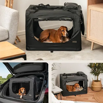 lionto transport chien pliable auto voyage tissu robuste noir