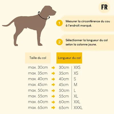 lionto collier pour chien en nylon, rembourré, réfléchissant 360°