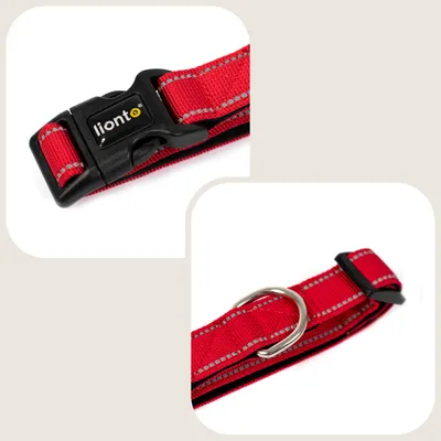 lionto collier pour chien en nylon, rembourré, réfléchissant 360°