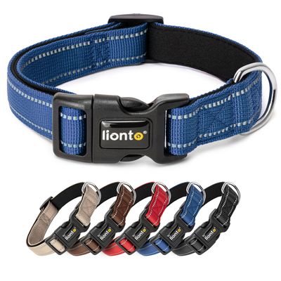 lionto collier pour chien en nylon, rembourré, réfléchissant 360° XS 20-30 cm / bleu